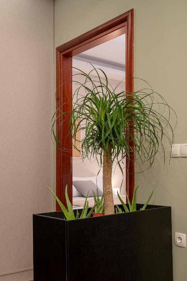 Centrally Located Cozy Appartement *